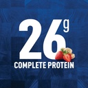 Core Power Fairlife Elite 42g High Protein Milk Shakes For kosher diet, Ready to Drink for Workout Recovery, 14 Fl Oz (Pack of 12), Liquid, Bottle